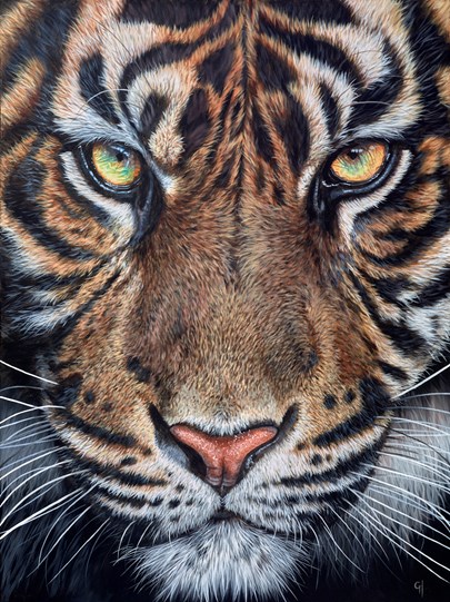The Tiger's Gaze by Gina Hawkshaw | Whitewall Galleries